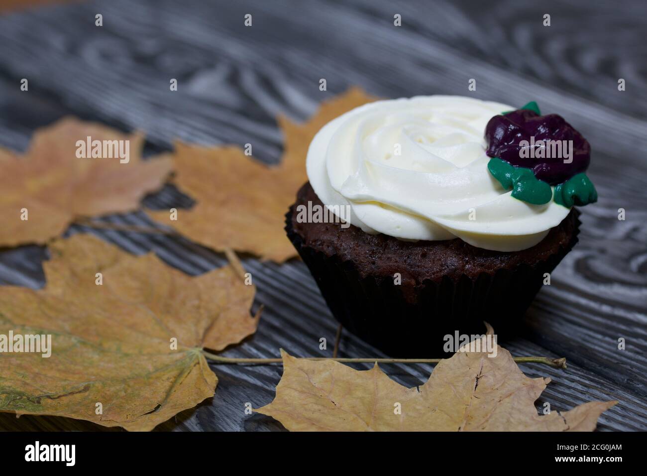Muffin al cioccolato con fiore alla crema. Tra le foglie di acero essiccate. Si trova su tavole di pino dipinte in bianco e nero. Foto Stock