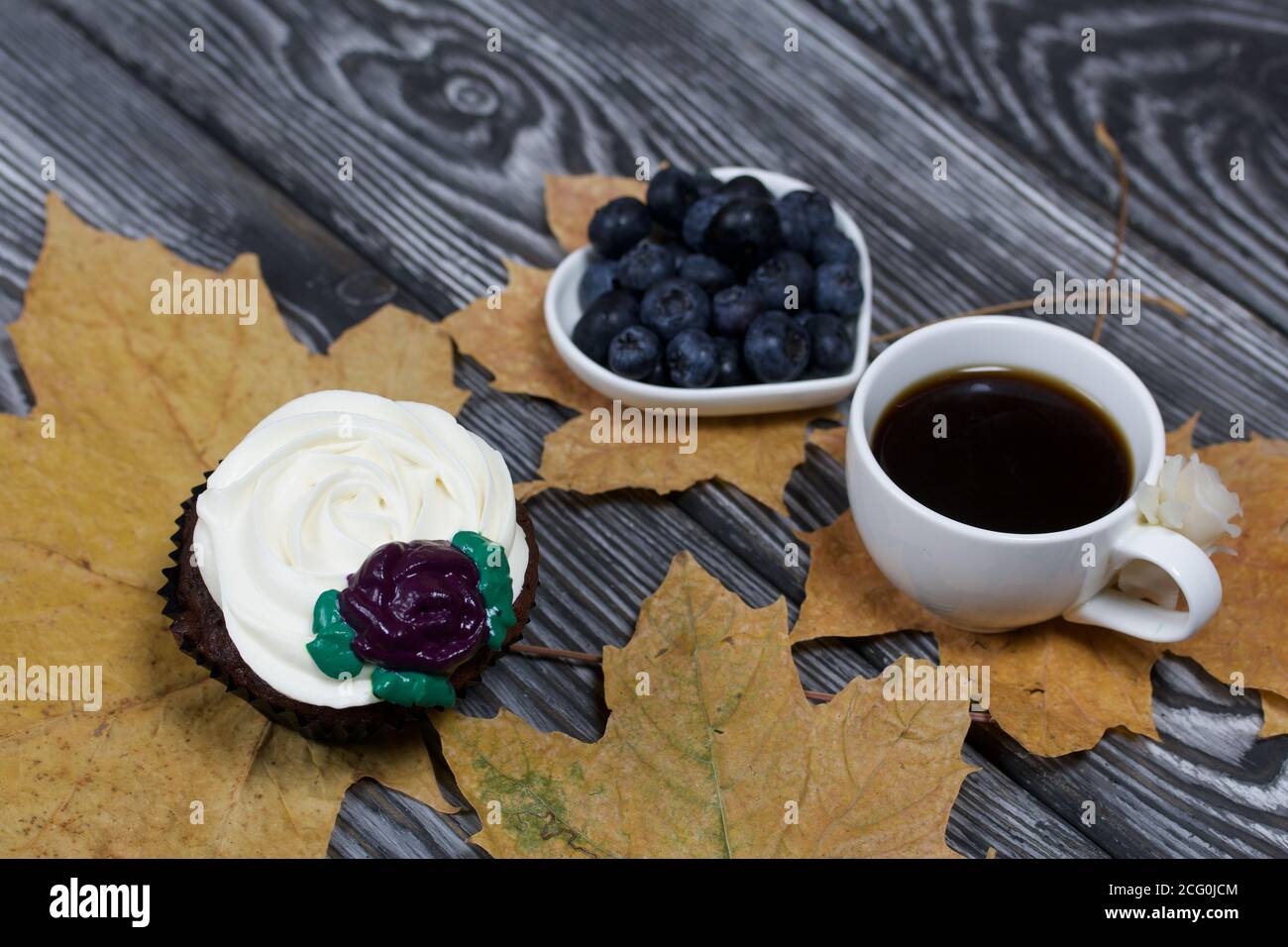 Muffin al cioccolato con fiore alla crema. Una tazza di caffè nero. Piatto con mirtilli. Tra le foglie di acero essiccate. Giace su tavole di pino verniciato nero A. Foto Stock