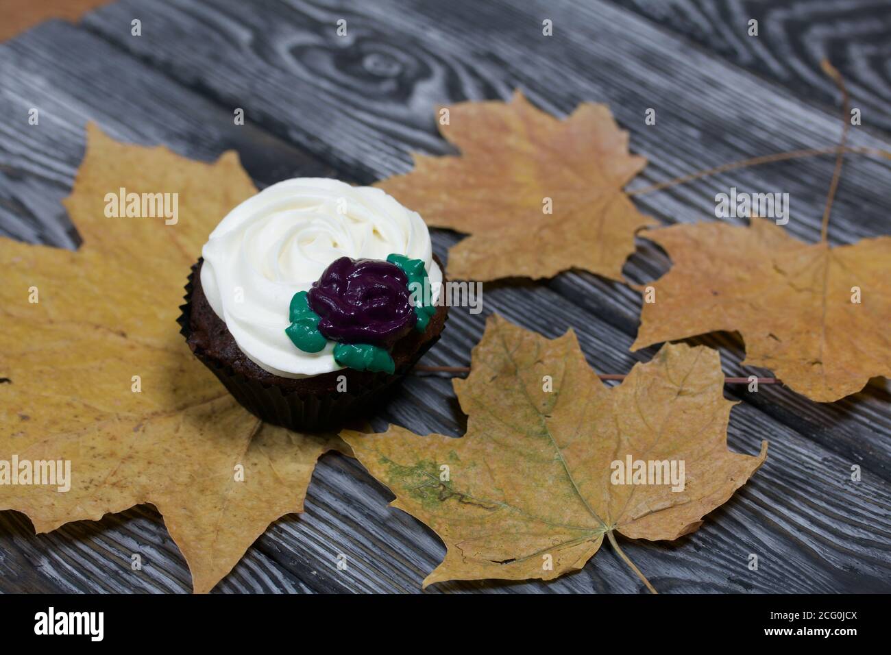 Muffin al cioccolato con fiore alla crema. Tra le foglie di acero essiccate. Si trova su tavole di pino dipinte in bianco e nero. Foto Stock