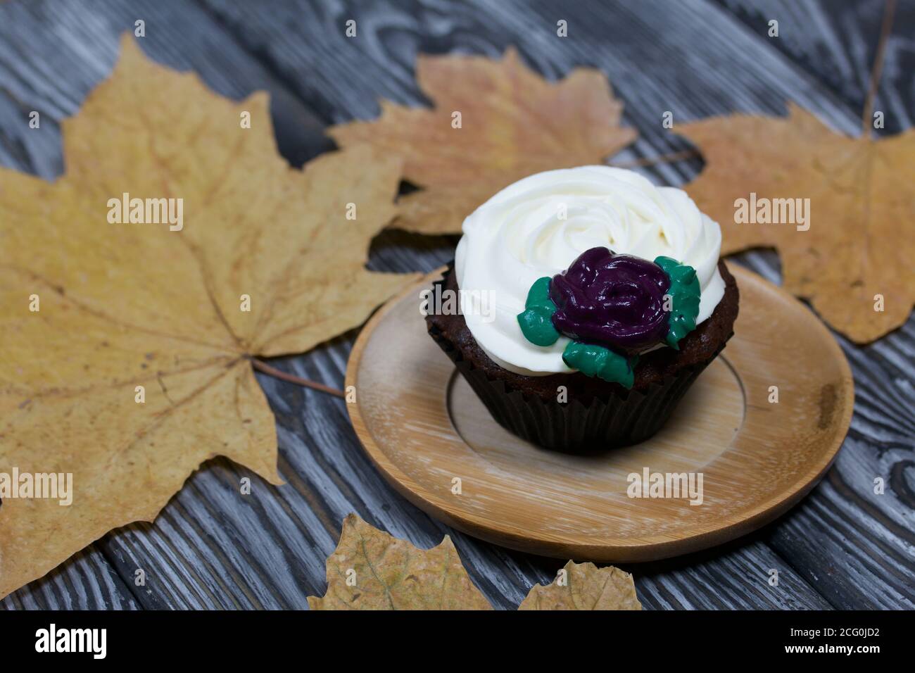 Muffin al cioccolato con fiore alla crema. Tra le foglie di acero essiccate. Si trova su tavole di pino dipinte in bianco e nero. Foto Stock