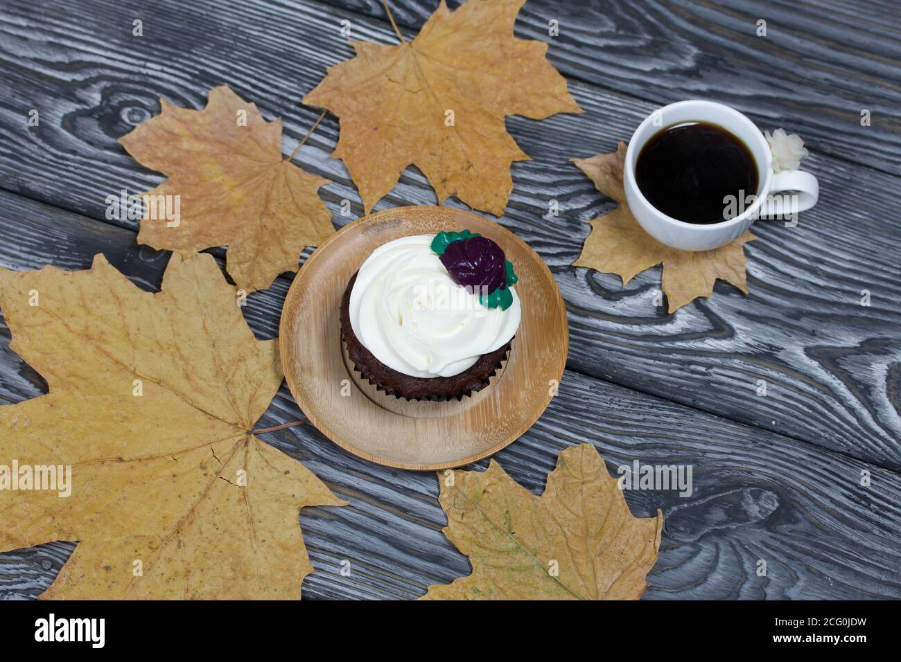 Muffin al cioccolato con fiore alla crema. Una tazza di caffè nero. Tra le foglie di acero essiccate. Giacciono su tavole di pino dipinte in bianco e nero. Foto Stock