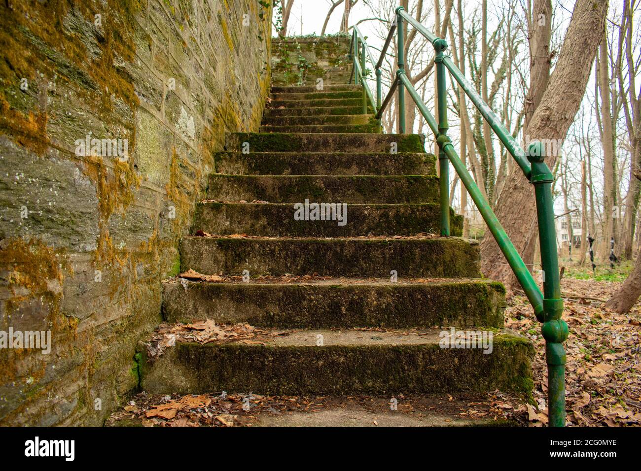 Guardando su una vecchia serie di scale di Cobblestone con un Muro accanto ad esso in un parco nella Pennsylvania suburbana Foto Stock