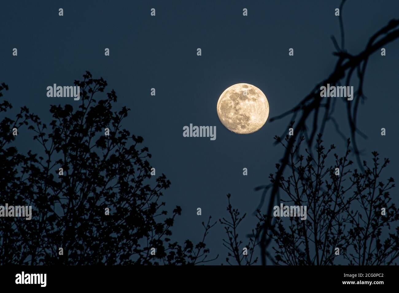 Sotto la Luna Foto Stock