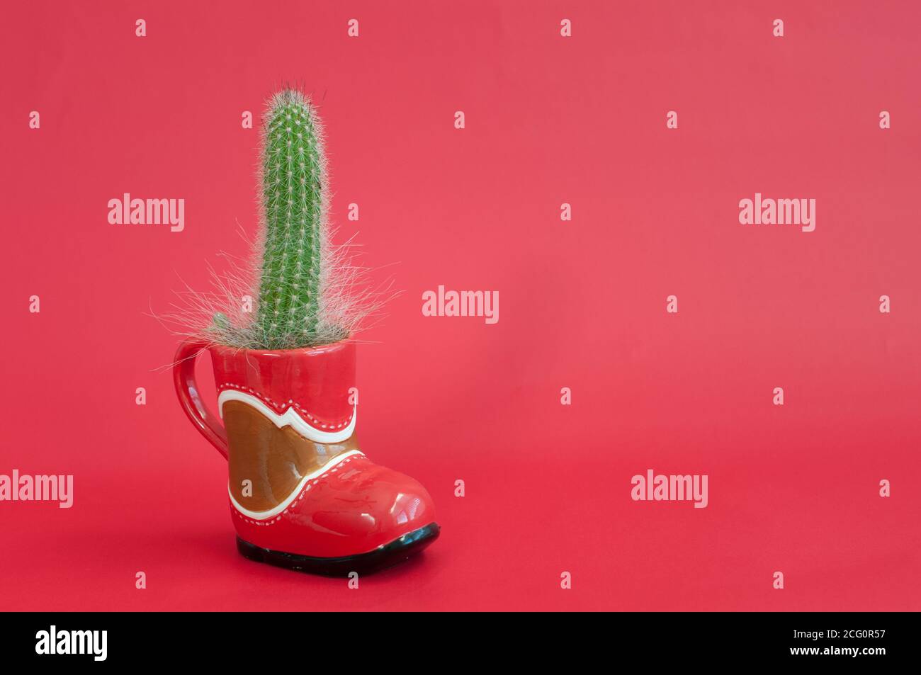 la foto orizzontale di un cactus in uno stivale da cowboy pot sopra lo sfondo rosso Foto Stock