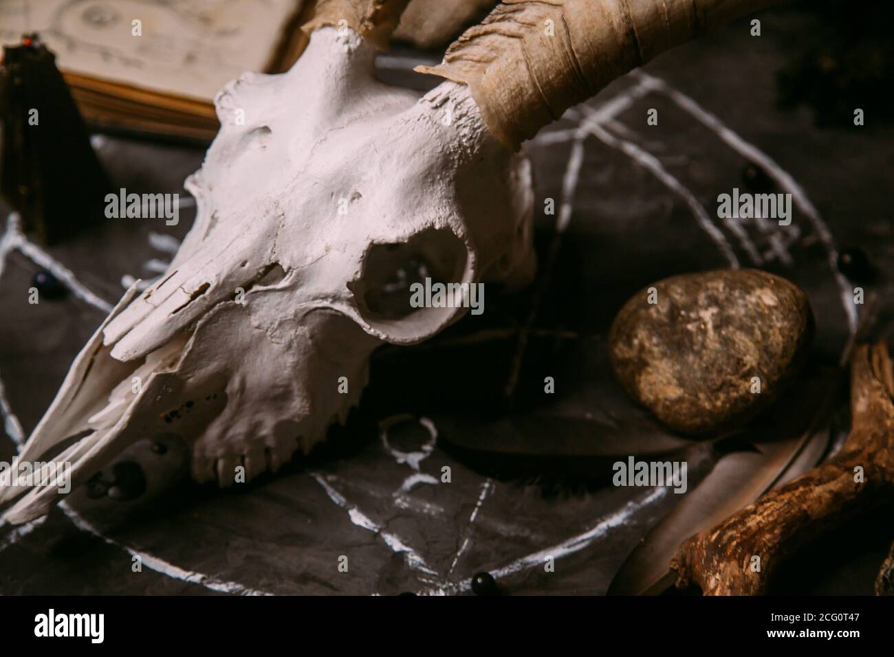 Gabbiano di capra bianco con corna, aprire il vecchio libro (testo - untraducibile, linguaggio immaginario), candele nere sul tavolo delle streghe. Occulto, esoterico, divinazione e. Foto Stock