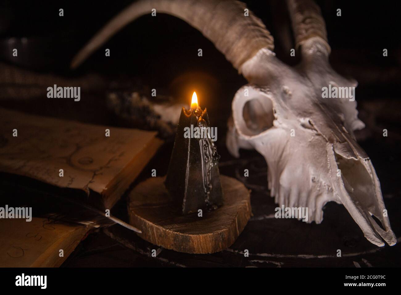 Gabbiano di capra bianco con corna, aprire il vecchio libro (testo - untraducibile, linguaggio immaginario), candele nere sul tavolo delle streghe. Occulto, esoterico, divinazione e. Foto Stock