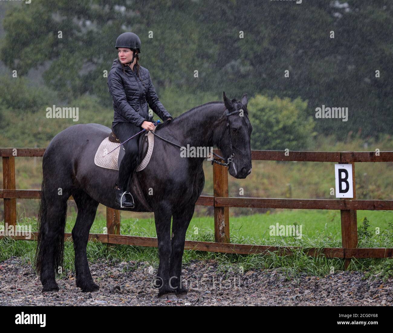 Un cavaliere sul suo cavallo durante una doccia a pioggia pesante Foto Stock