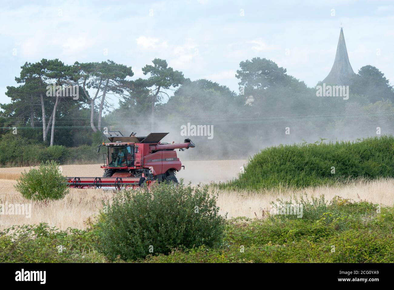 Mietitrebbia che taglia il grano. Hayling Island, Hampshire Regno Unito Foto Stock