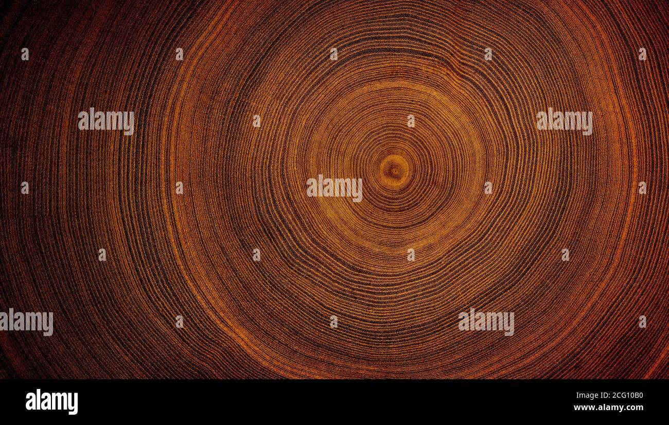 Closeup macro vista della sezione di legno di taglio finale con crepe e anelli di albero annuali. Struttura organica naturale con superficie ruvida e fessurata. Foto Stock