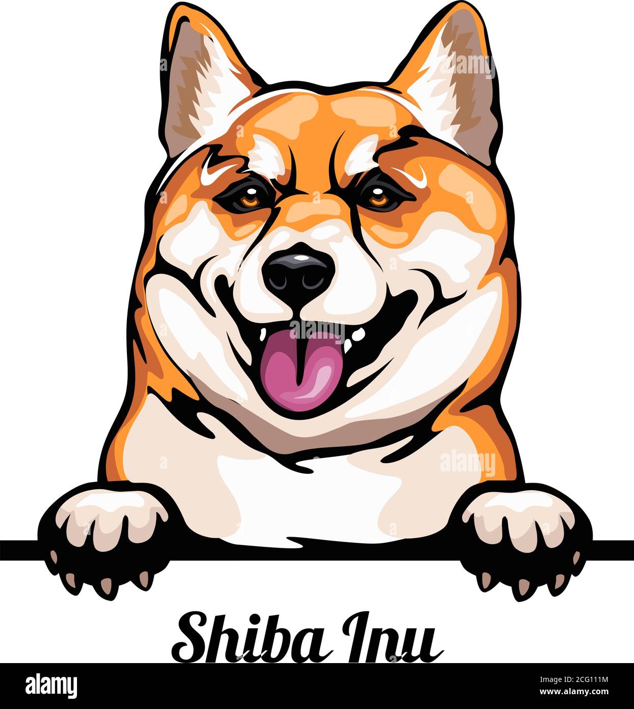 Capo Shiba Inu - razza del cane. Immagine a colori di una testa di cani isolata su uno sfondo bianco Illustrazione Vettoriale