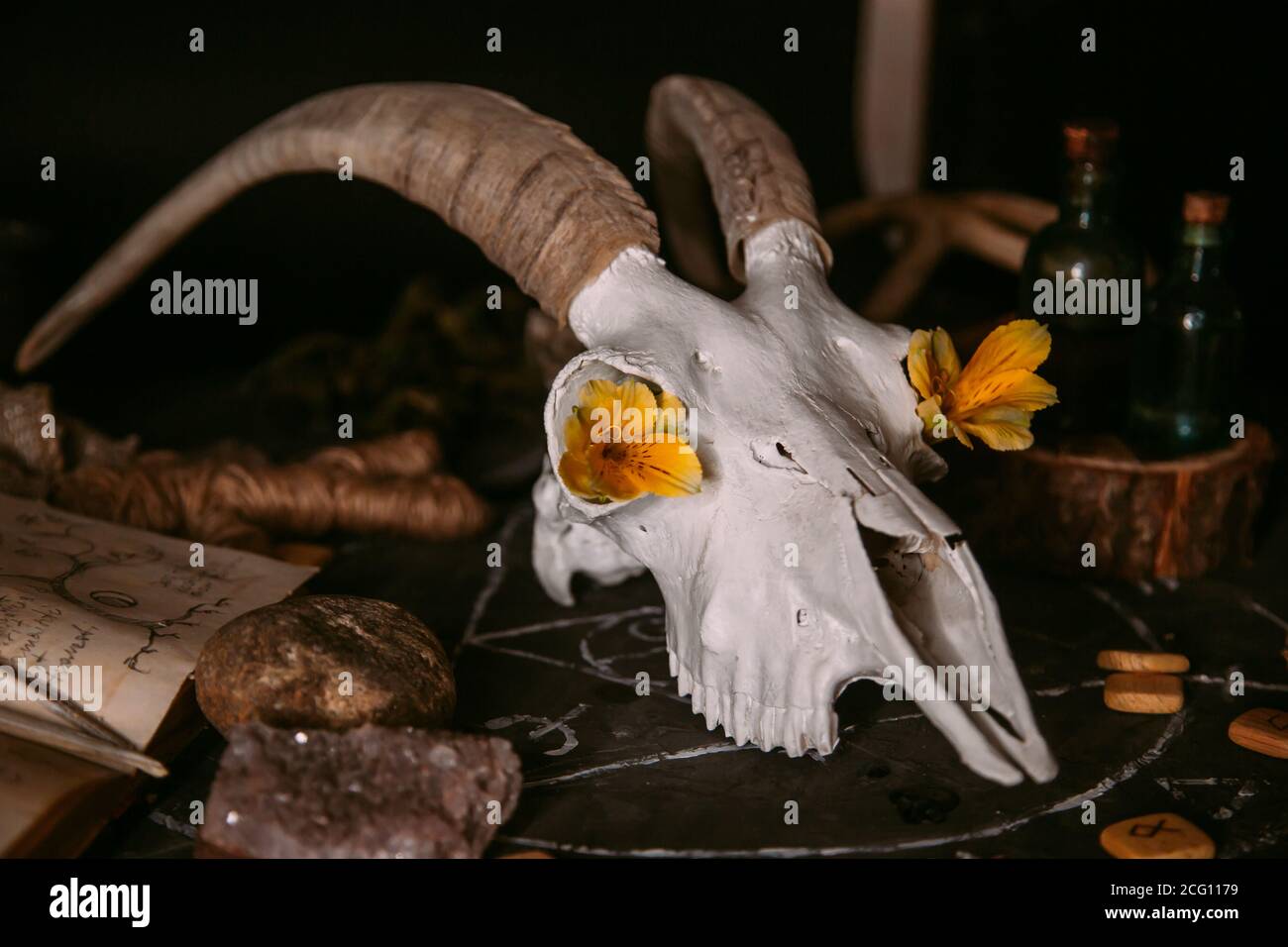 Gabbiano di capra bianco con corna, fiori, libro aperto vecchio, candele sul tavolo delle streghe. Concetto occulto, esoterico, divinazione e wicca. Halloween, giorno della dea Foto Stock