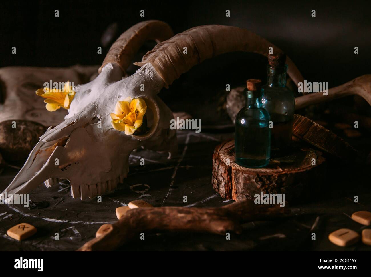 Gabbiano di capra bianco con corna, fiori, libro aperto vecchio, candele sul tavolo delle streghe. Concetto occulto, esoterico, divinazione e wicca. Halloween, giorno della dea Foto Stock