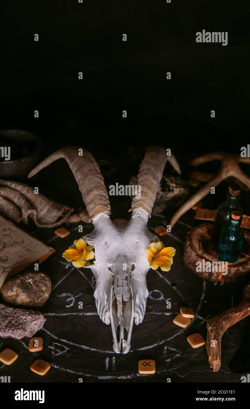 Gabbiano di capra bianco con corna, fiori, libro aperto vecchio, candele sul tavolo delle streghe. Concetto occulto, esoterico, divinazione e wicca. Halloween, giorno della dea Foto Stock