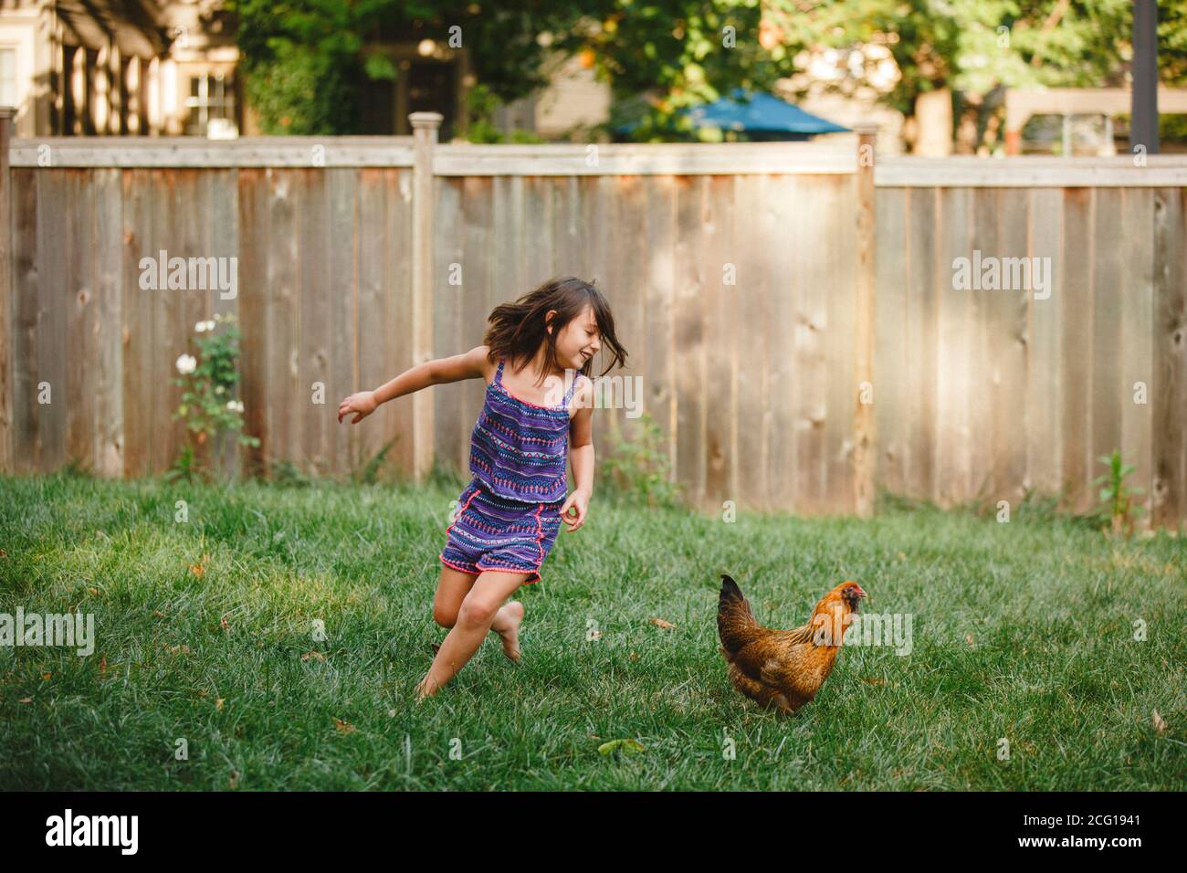 Un bambino felice gioca a piedi nudi con un pollo in lei giardino sul retro Foto Stock