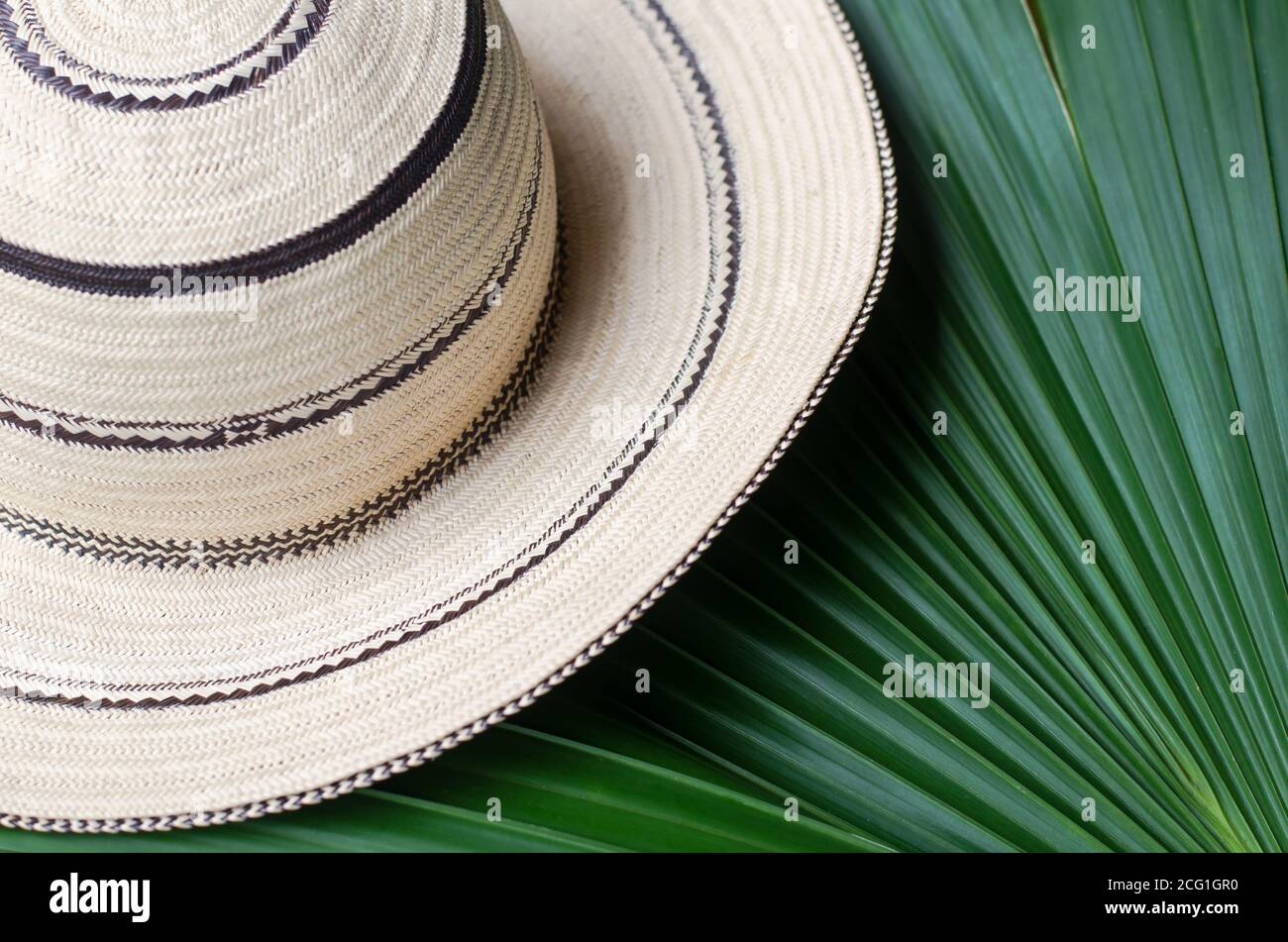 I cappelli Panamaniani sono fatti a mano utilizzando una varietà di tecniche per lavorare le fibre naturali della palma di toquilla 'Carludovica palmata'. Foto Stock