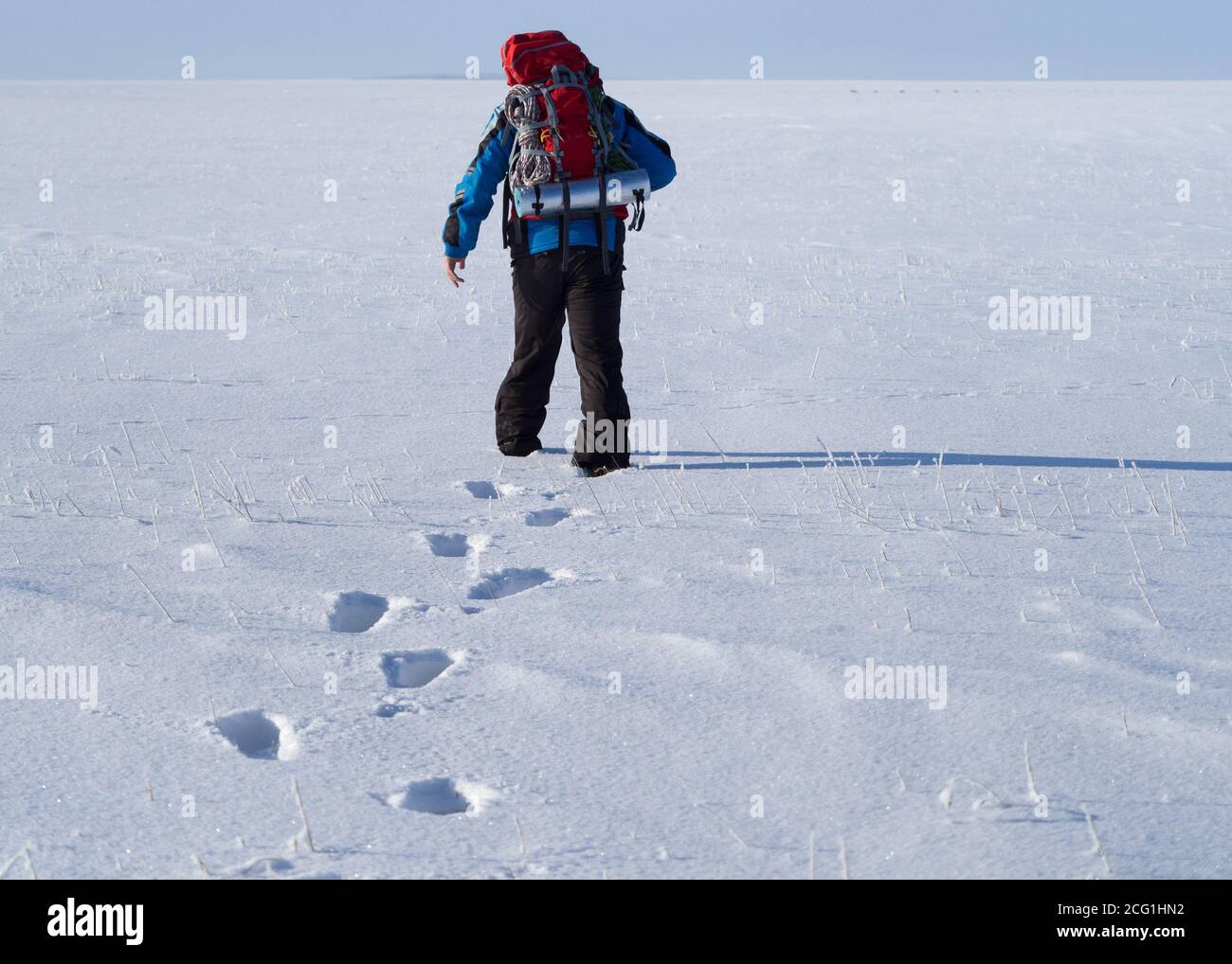 Solitaria passeggiata umana nel deserto della neve. Impronte sul campo innevato. Vista posteriore. Foto Stock