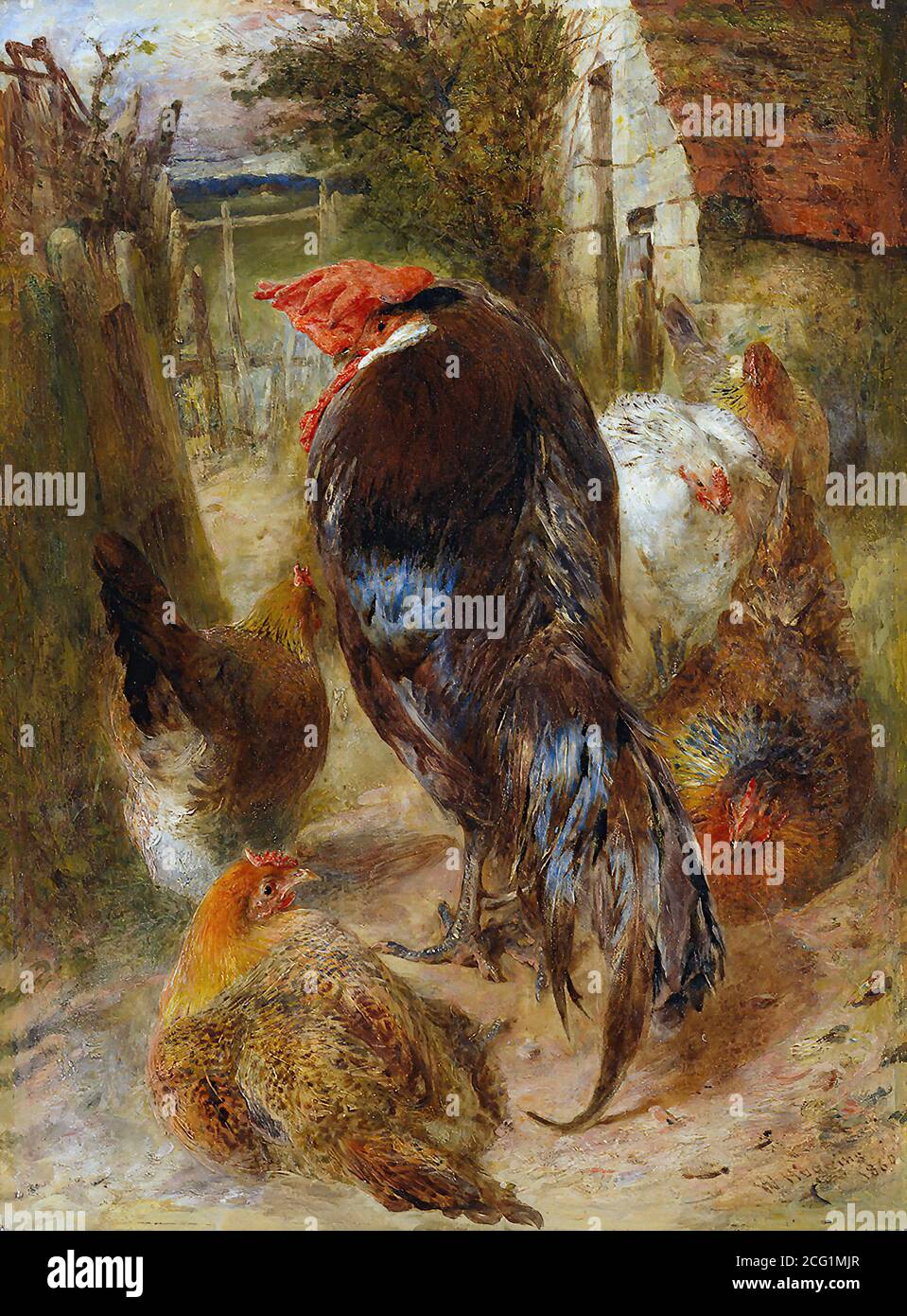 Huggins William - Aeri stranieri e grazie nativi - britannico Scuola - 19 ° secolo Foto Stock