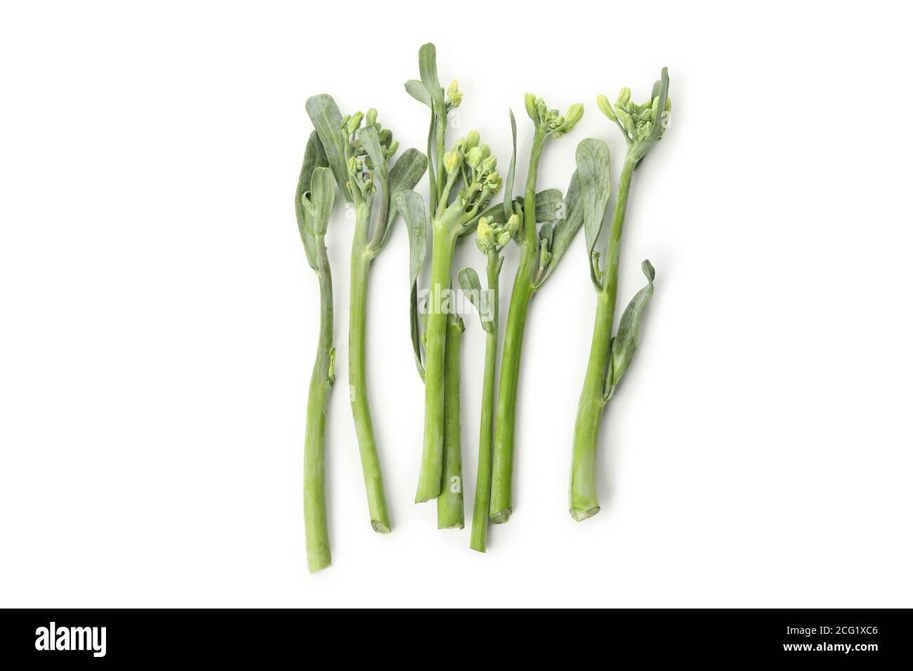 Broccolini verdi freschi isolati su sfondo bianco Foto Stock