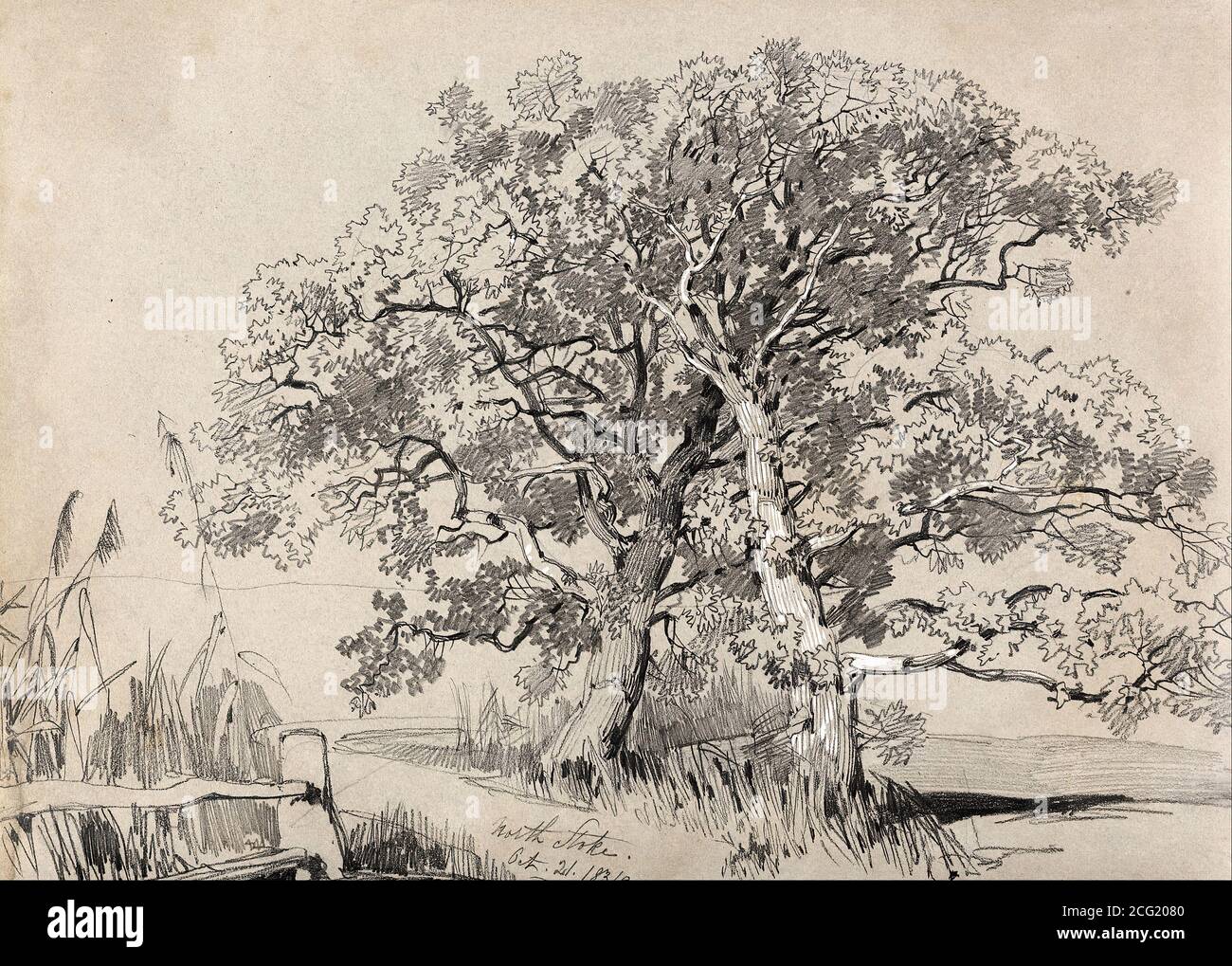 Lear Edward - Stoke del nord. Ottobre 21.1834 - British School - 19 ° secolo Foto Stock