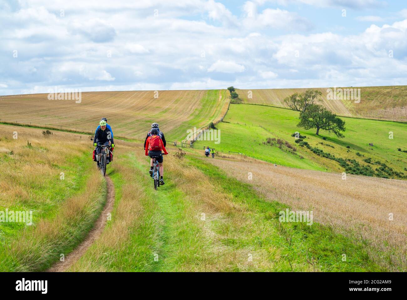 Ciclisti sulla South Downs Way a Steyning Bowl, West Sussex, Regno Unito nel mese di agosto Foto Stock