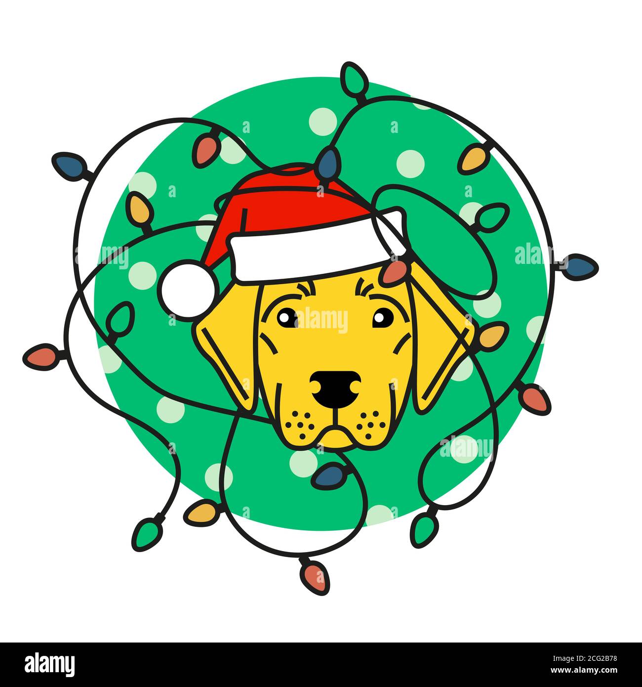 Labrador in cappello di santa con luci di natale Immagine e Vettoriale -  Alamy