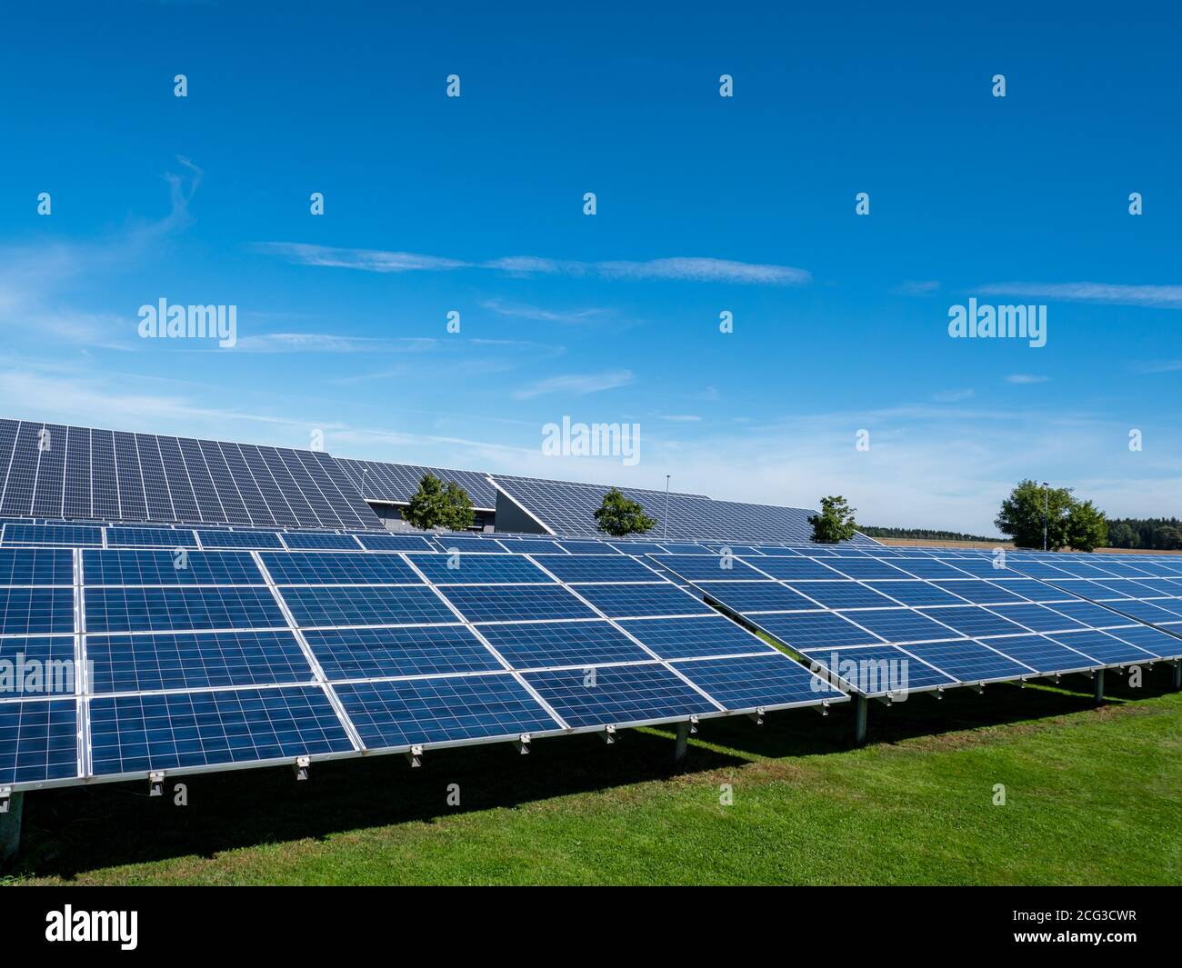 Impianto fotovoltaico a parco solare per energia alternativa Foto Stock