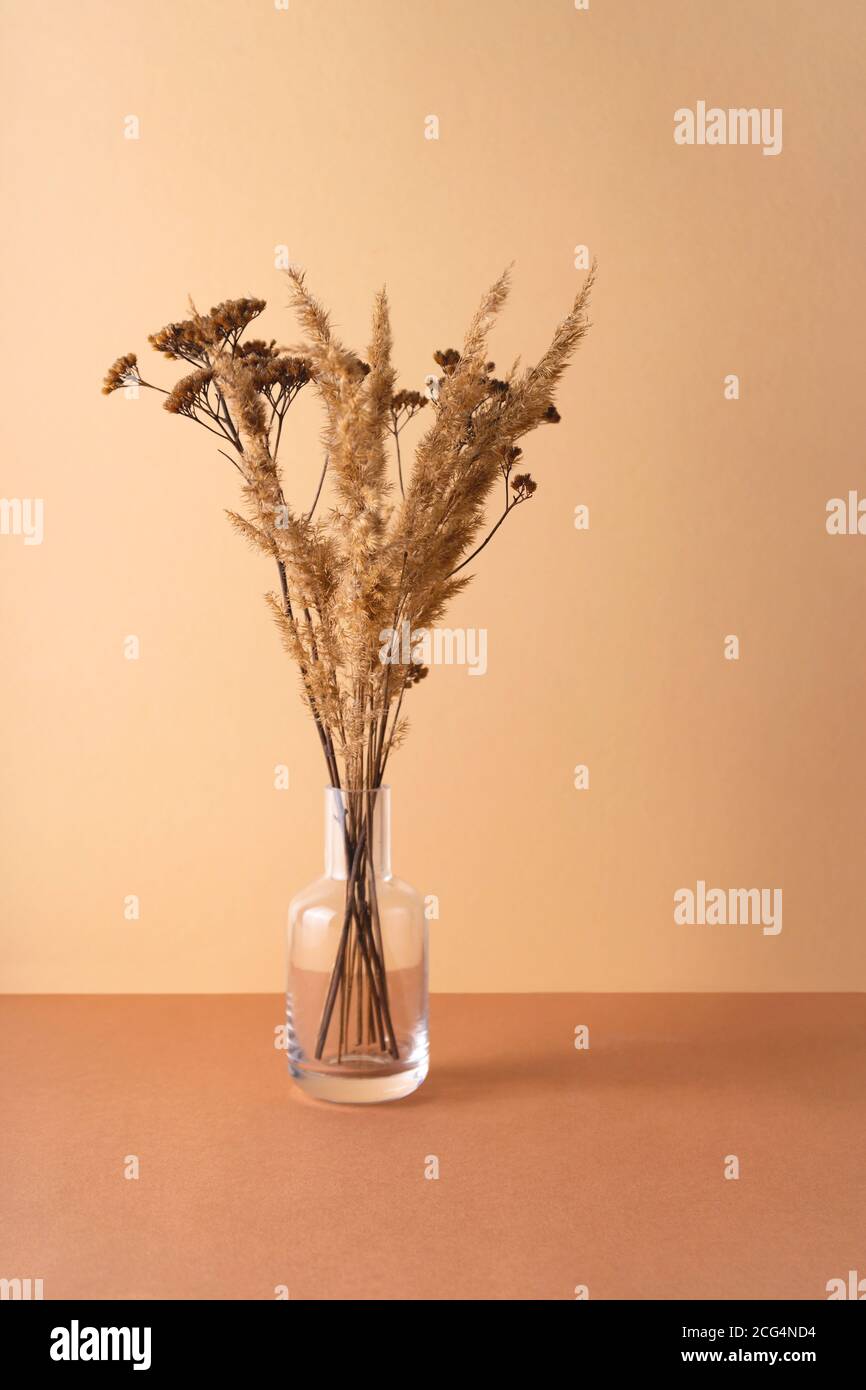 Fiori secchi in vaso minimalista trasparente. Foto Stock