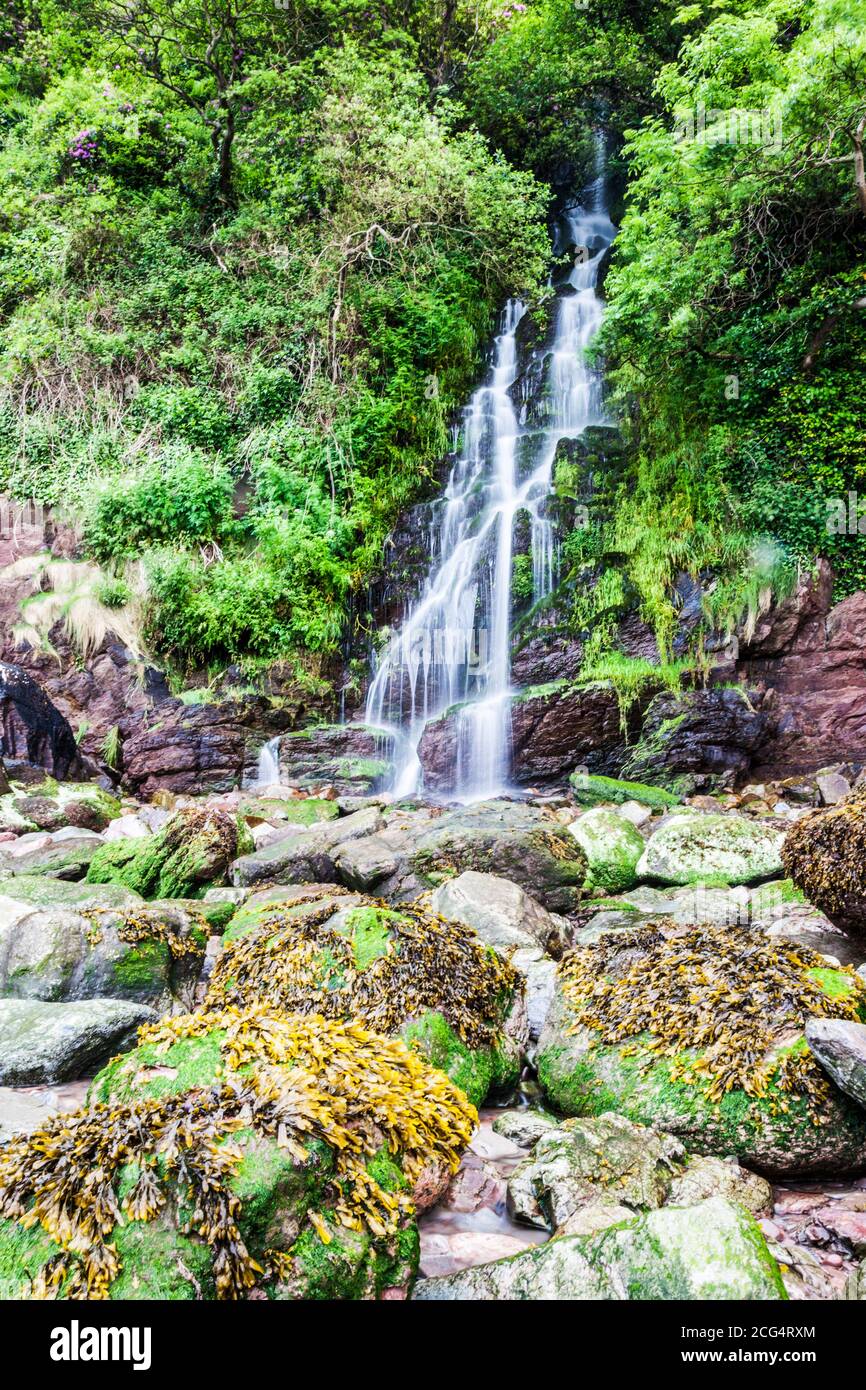 La cascata a Woody Bay sulla costa nord del Devon. Foto Stock