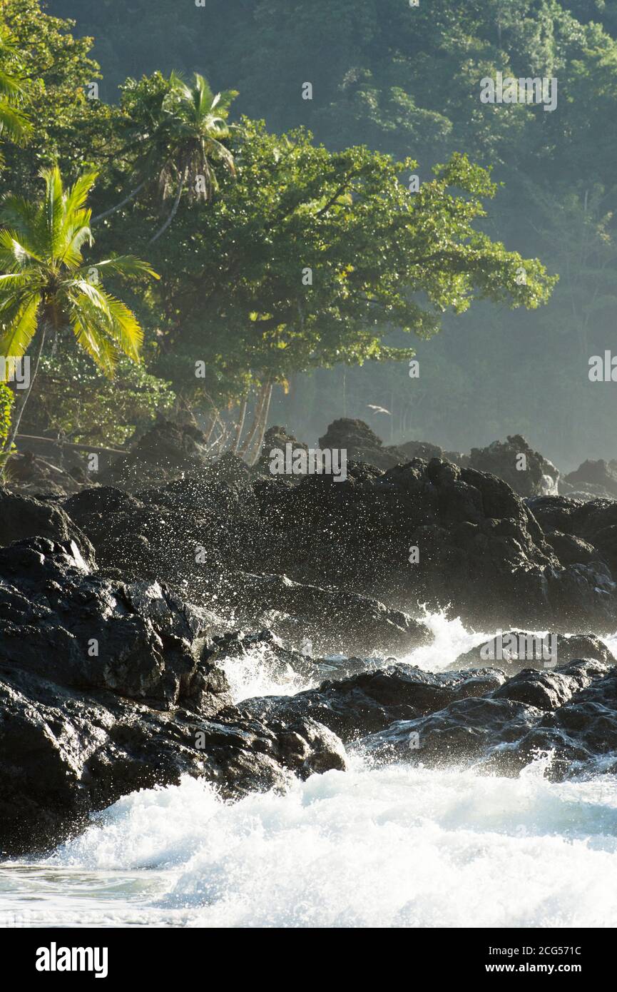 La foresta pluviale incontra l'Oceano Pacifico - Corcovado National Park - Costa Rica Foto Stock