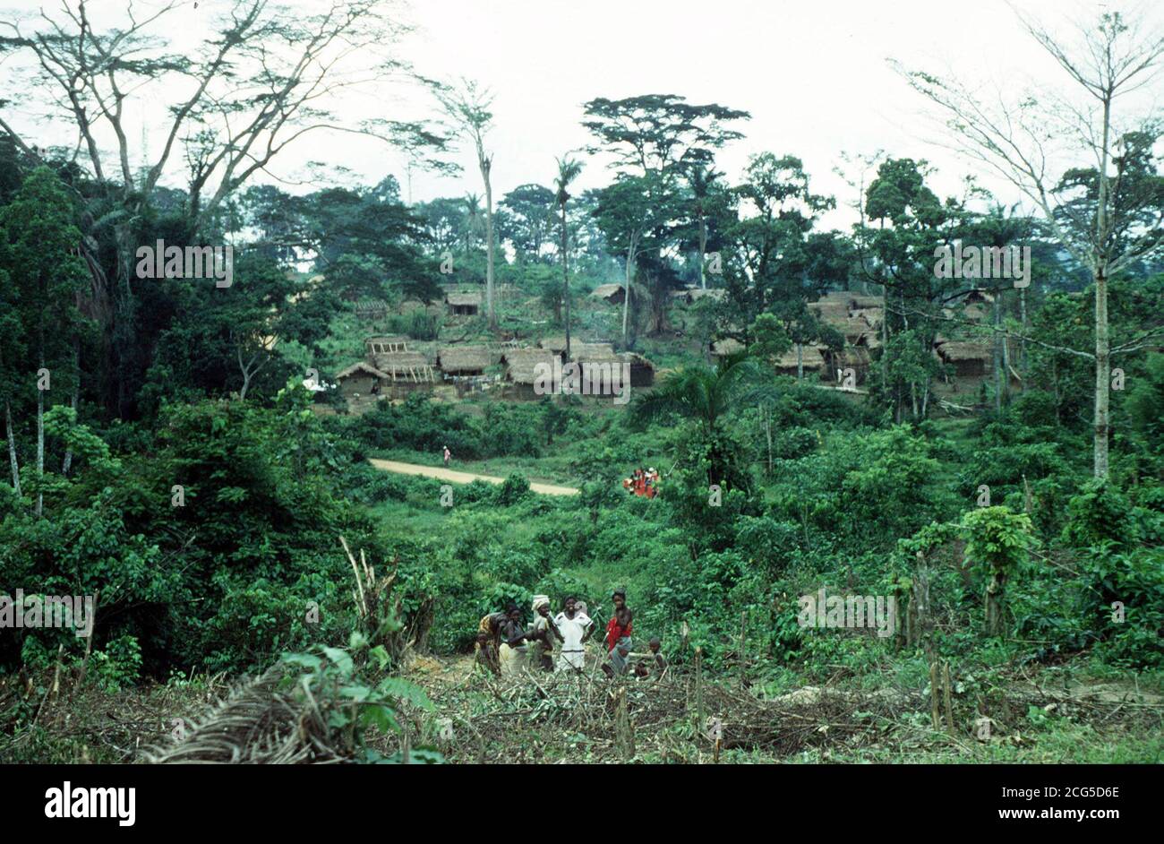 Una scena rurale in Liberia, Africa. I diplomatici cercavano di ottenere il rilascio di 4 operatori britannici che erano tra i 6 occidentali rapiti nello stato dell'Africa occidentale. Secondo quanto riferito, gli ostaggi sono stati sequestrati da uomini armati che sono entrati in un'agenzia di aiuti. * a Kolahun, nel nord-ovest del paese vicino ai suoi confini con la Sierra Leone e la Guinea, tra le 7:00 e le 8:00 di ieri. E' l'ultimo incidente di una serie di sequestri che hanno visto i britannici sequestrati in Sierra Leone e Nigeria. Tre dei britannici sono stati nominati come l'ostetrica Sara Nam, 30, da Carmarthen, in Galles, Dr Mike Roe, 33, da Foto Stock