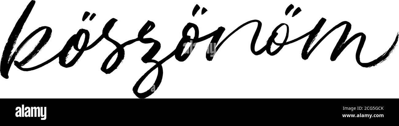 Grazie in ungherese, Brush vettoriale scritte Illustrazione Vettoriale