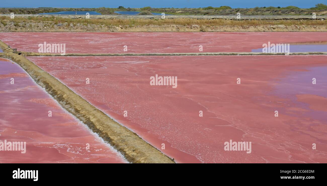 Estrazione del sale, Tavira salinas, Algarve Foto Stock