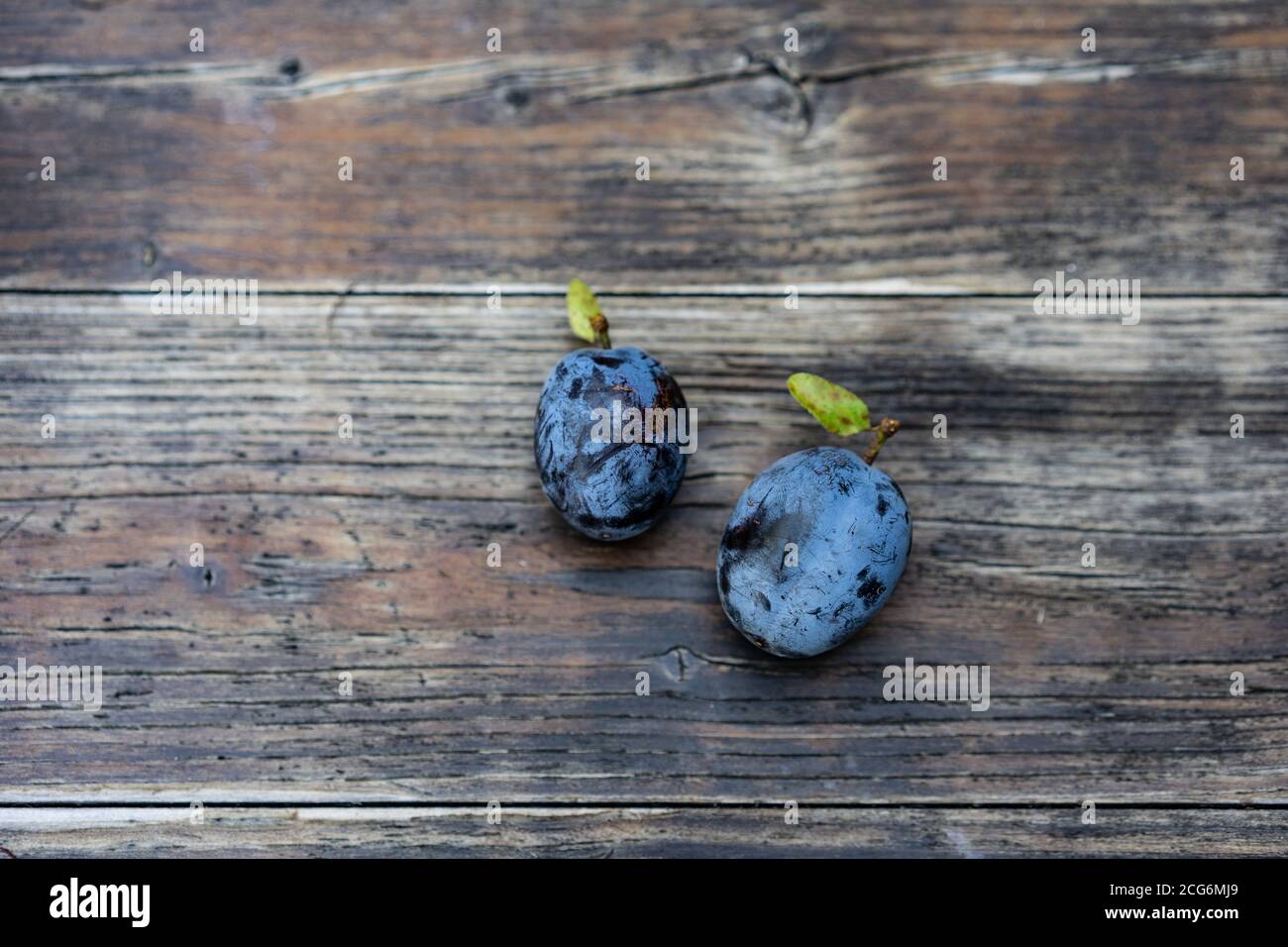 Due prugne su sfondo ligneo, frutta blu, molto dolce con anima in legno all'interno. Una frutta da tavola per la cottura, la marmellata, il liquore. Primo piano, vista ad angolo alto. Foto Stock