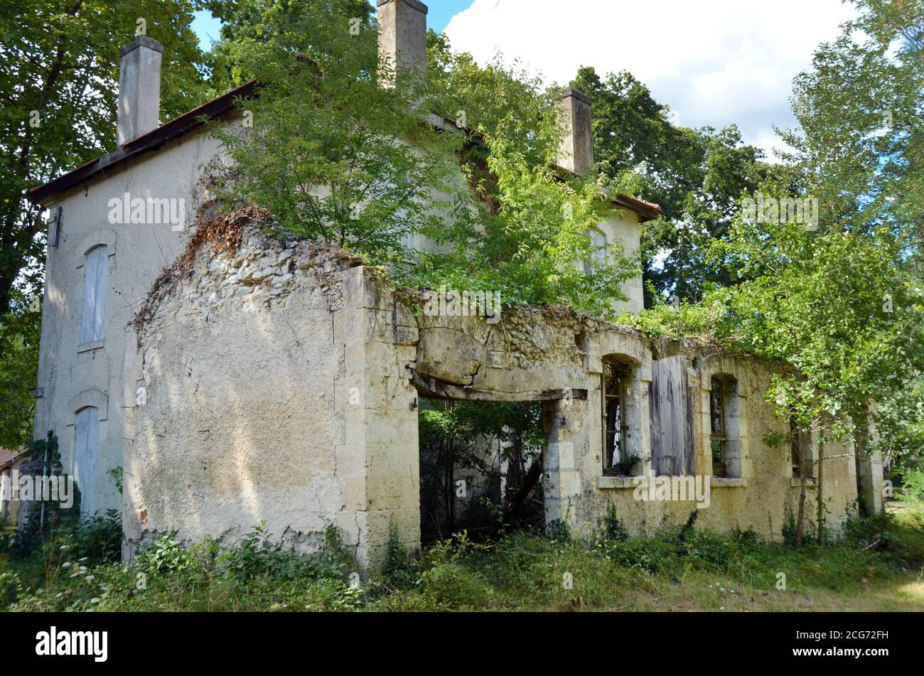 Il villaggio Solferino creato da Napoléon III nel 1863, situato nella Francia sudoccidentale, era destinato ai lavoratori che prosciugano le paludi e gli alberi vegetali. Foto Stock