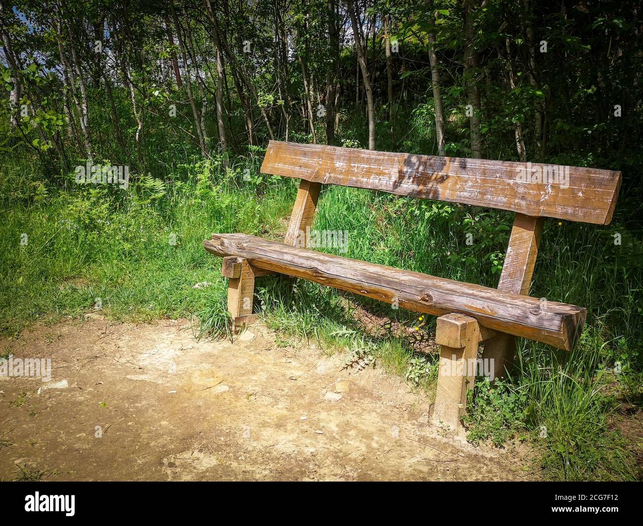 Vista frontale di una panca vuota in legno in un parco verde solitario su un parco collinare vicino ai monti Carpazi. Giorno di sole, cielo blu. Foto Stock