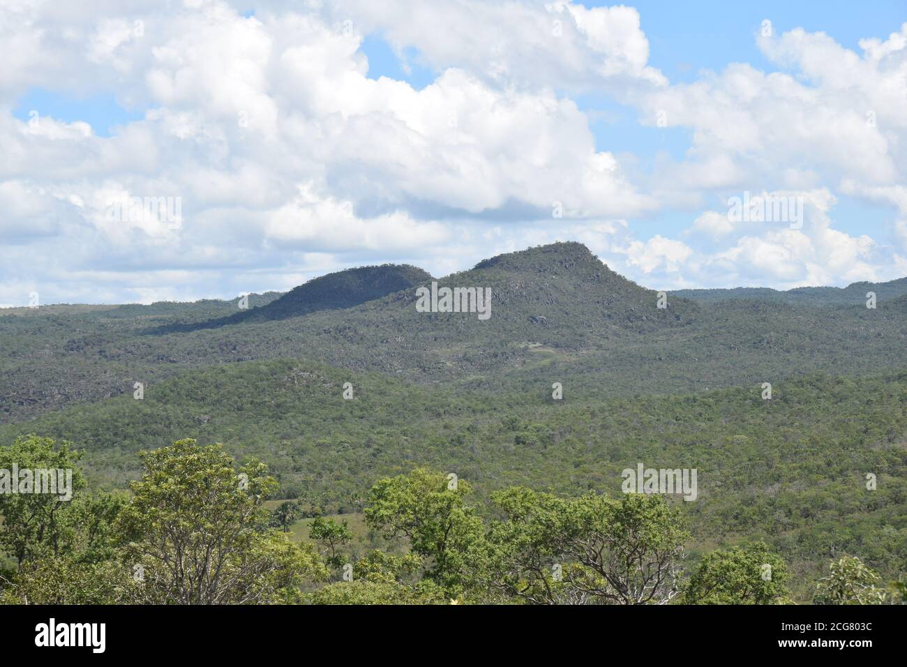 trilhas sentieri cerrado paesaggio brasiliano flora botanica natura Foto Stock