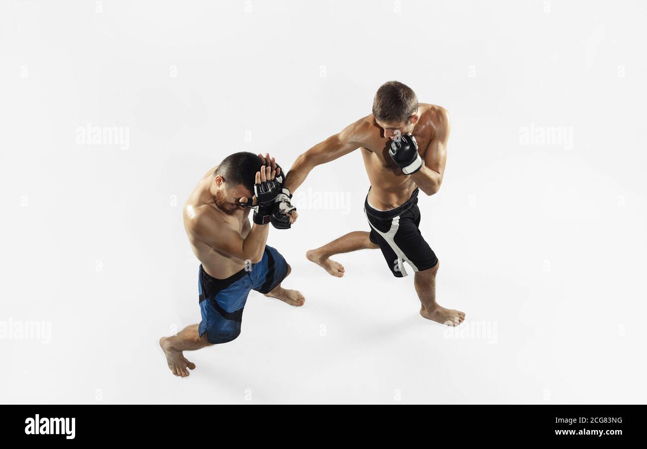 Due combattenti MMA professionisti pugilato isolato su sfondo bianco studio. Vista dall'alto di una coppia di atleti muscolari. Sport, stile di vita sano, competizione, dinamica e movimento, concetto di azione. CopySpace. Foto Stock