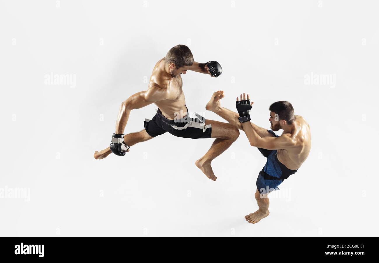 Due combattenti MMA professionisti pugilato isolato su sfondo bianco studio. Vista dall'alto di una coppia di atleti muscolari. Sport, stile di vita sano, competizione, dinamica e movimento, concetto di azione. CopySpace. Foto Stock