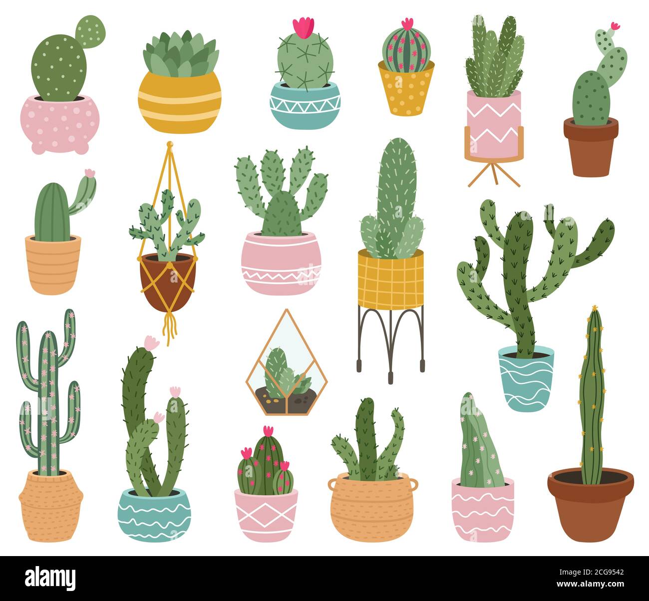 Cactus divertenti Fiorista Maglietta Fiorista