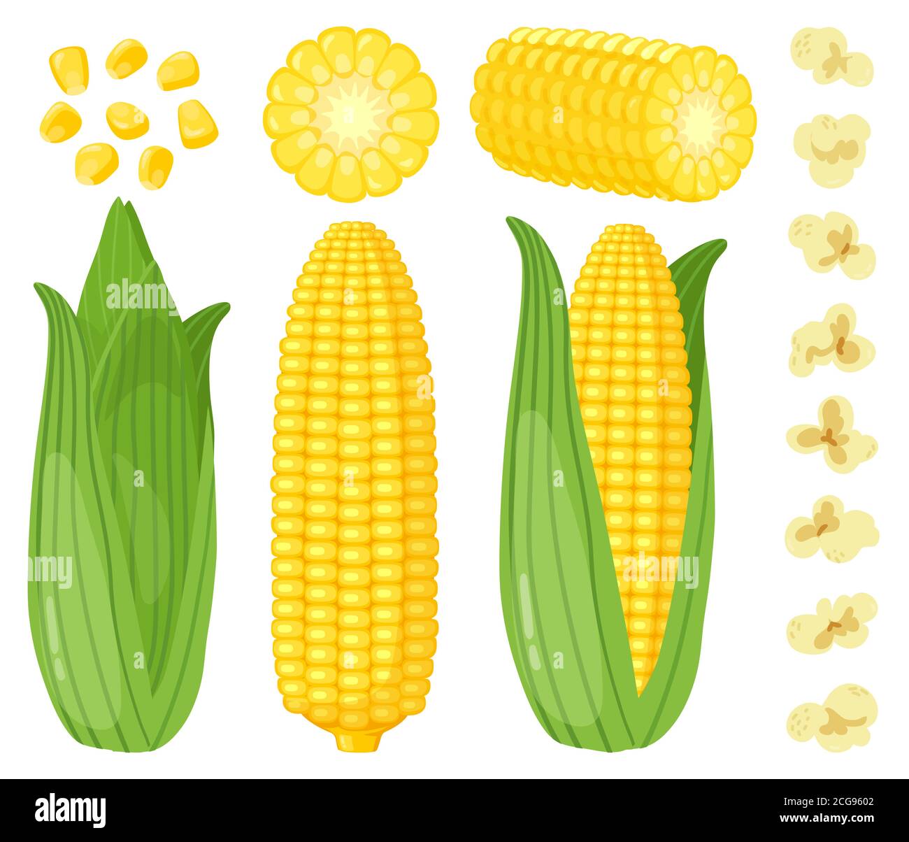 Granoturco cartoon. Verdure di mais, pannocchie di mais dolce dorate, popcorn e grani di mais, insieme ricco di illustrazione vettoriale di raccolto agricolo Illustrazione Vettoriale