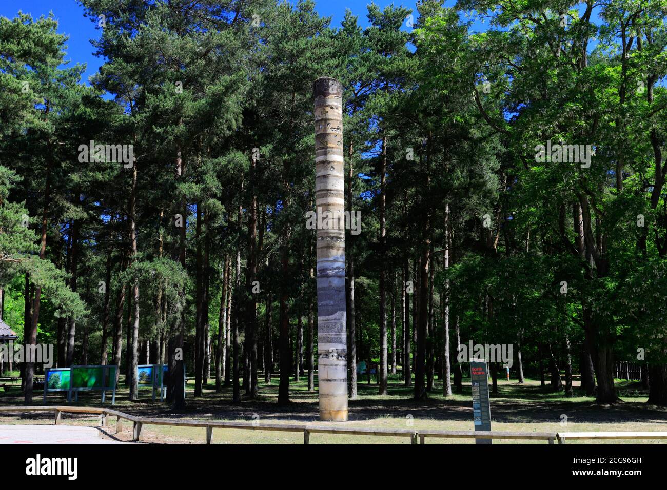 Vista del centro visitatori High Lodge, Thetford Forest, Thetford Town, Norfolk, Inghilterra, Regno Unito Foto Stock