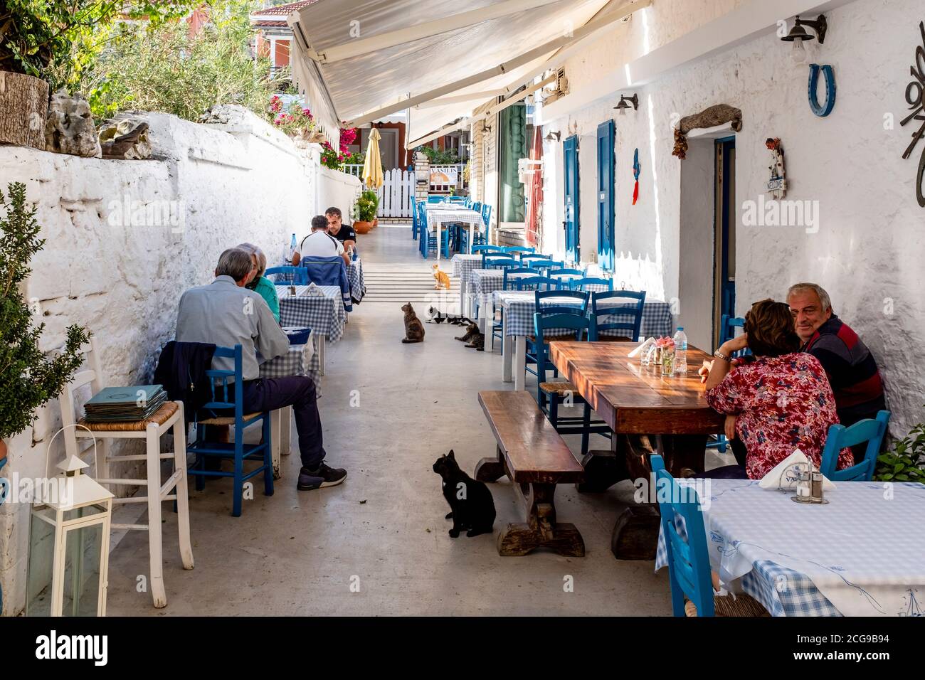 Turisti/visitatori e gatti locali presso UN ristorante sull'isola di Paxos, Grecia. Foto Stock