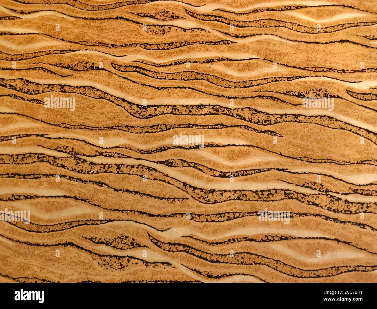 Splendido design a strisce tigre di moquette classica per una texture di sfondo. Foto Stock