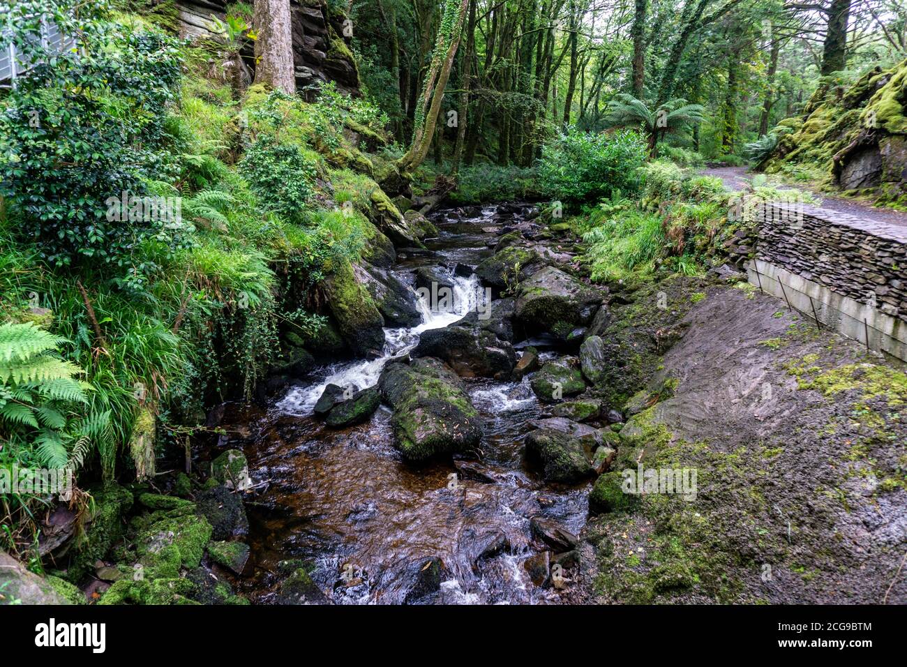 Il fiume Deligeenagh scorre attraverso i giardini sub-tropicali dei Kells Bay Gardens a Kells, County Kerry, Irlanda. Foto Stock
