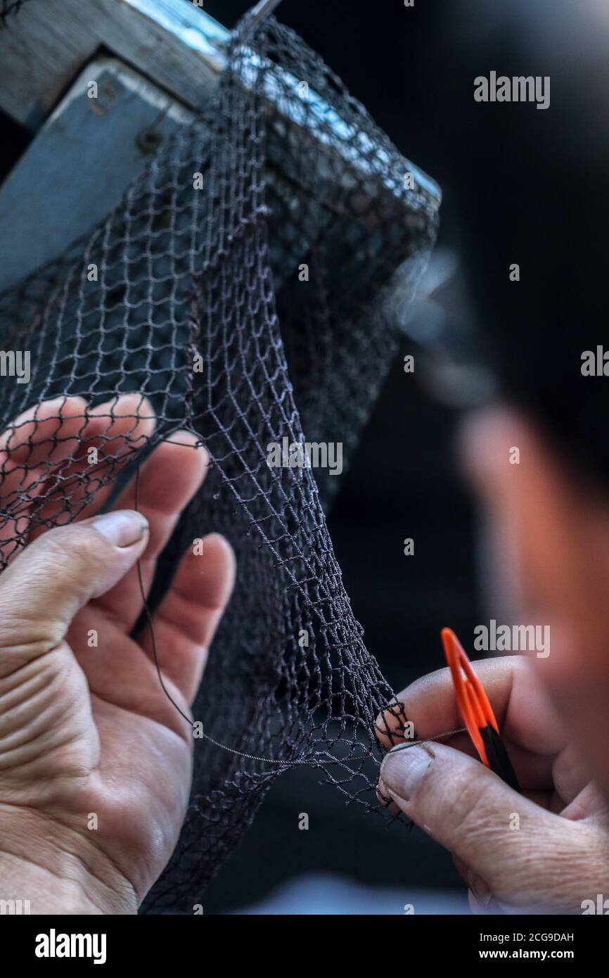 9 settembre 2020: 9 settembre 2020 (Caleta de Velez, Velez Malaga, Malaga) gruppo di pescatori riparano le loro reti nel porto di Caleta de Velez con l'arte di mending. Questo danno alle reti dei pescatori è causato dal delfino in attesa che le barche riempano le loro reti di pesce, ed è in quel momento che si avvicina a mangiare la merce già pescata. Credit: Lorenzo Carnero/ZUMA Wire/Alamy Live News Foto Stock