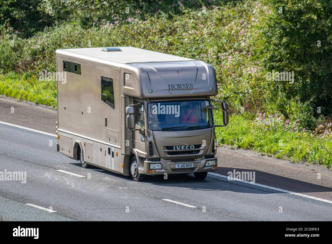 2010 oro Iveco Eurocargo (MY 2008) crine box van; Coach costruito e conversione equino trasporto animale viaggiare sull'autostrada M6, Lancashire, Regno Unito Foto Stock