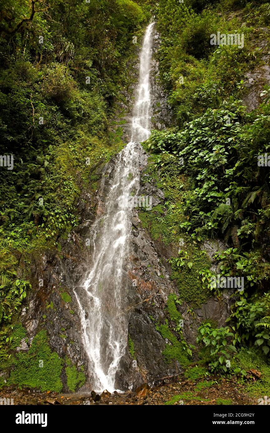 Cascate, PARCO NAZIONALE DEL MANU IN PERÙ Foto Stock