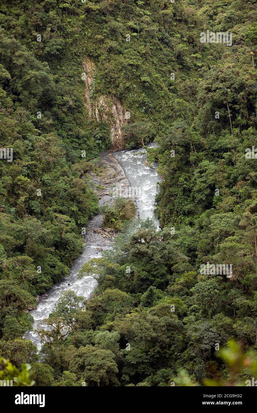 Cascate, PARCO NAZIONALE DEL MANU IN PERÙ Foto Stock