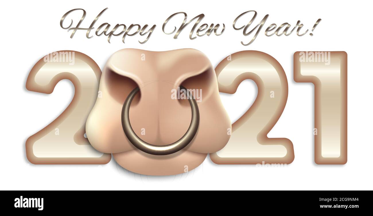 Anno nuovo cinese del toro 2021. Illustrazioni di Natale con muso di mucca per poster, striscioni e biglietti d'auguri. Illustrazione 3D realistica. Vettore Illustrazione Vettoriale