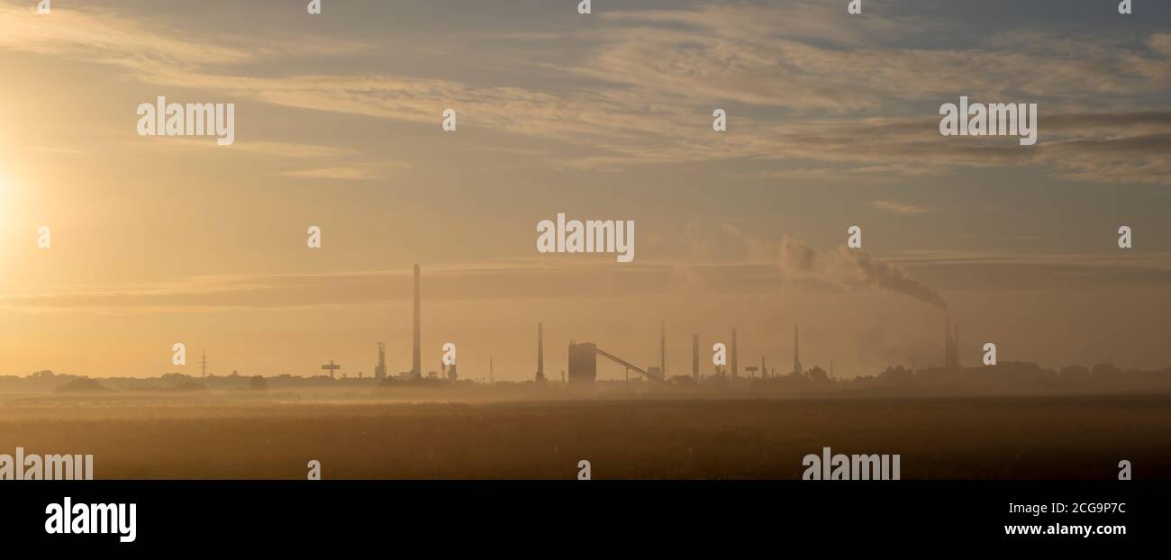 silhouette di una fabbrica con camini all'alba, mattina nebbia crea un'atmosfera mistica, prato in primo piano, cielo nuvoloso Foto Stock